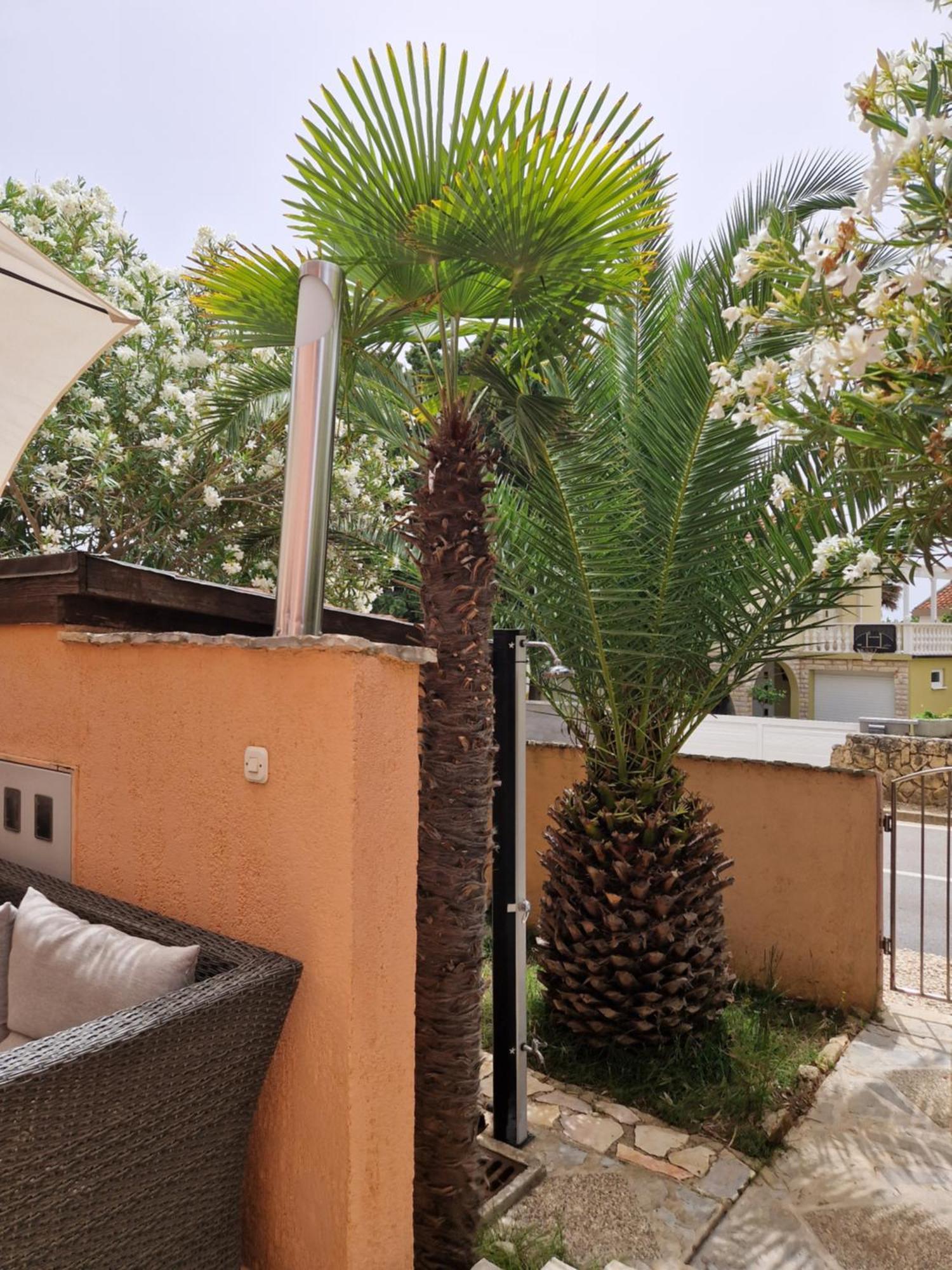 Aurelia Apartments, Vir Chambre photo