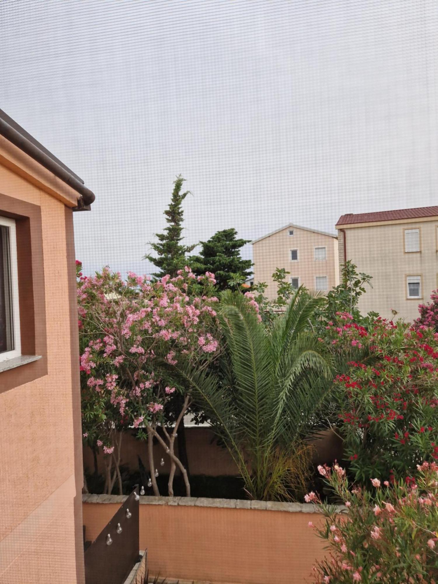 Aurelia Apartments, Vir Extérieur photo